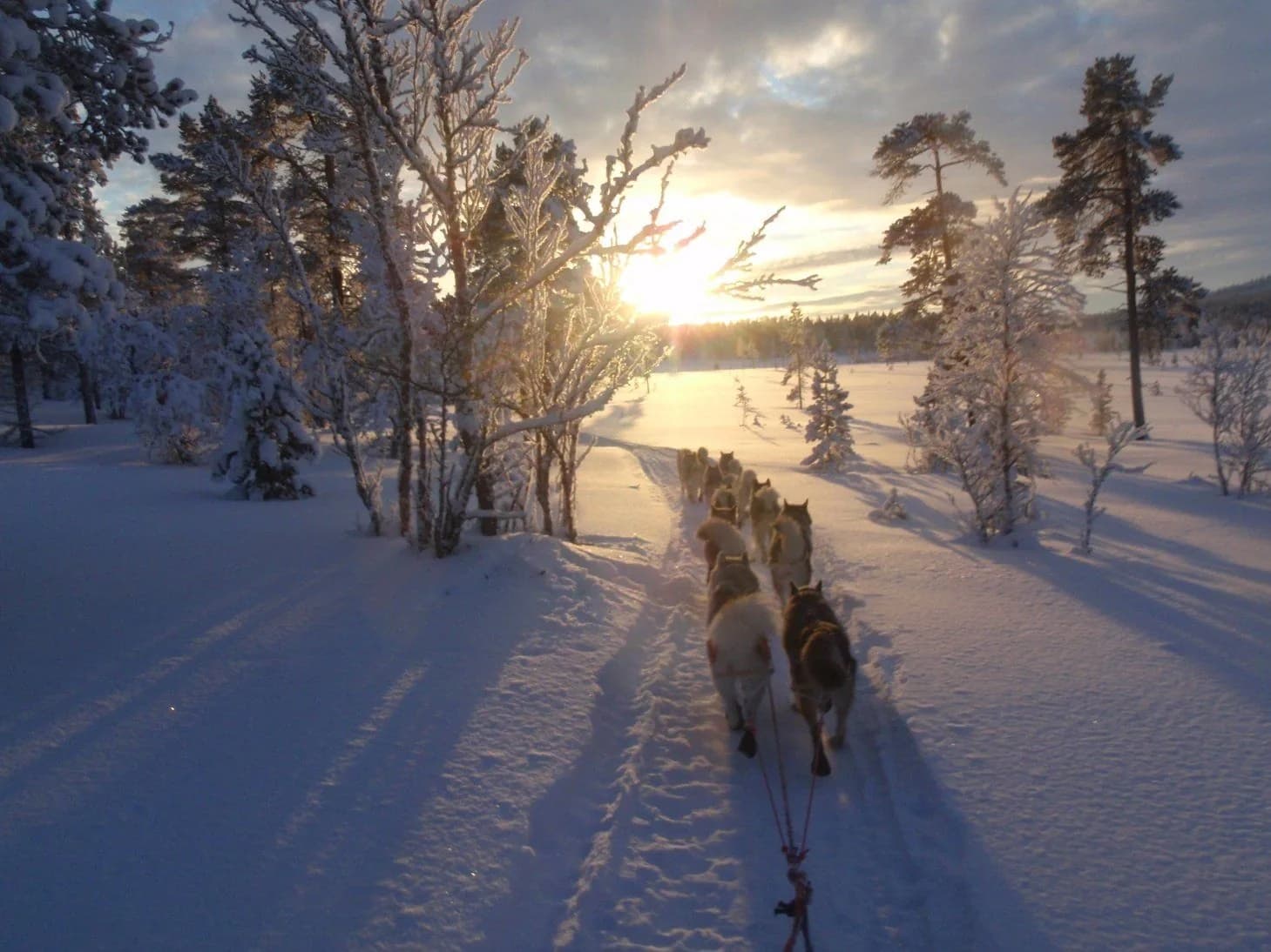 Sonnenuntergang über verschneiter Weite
