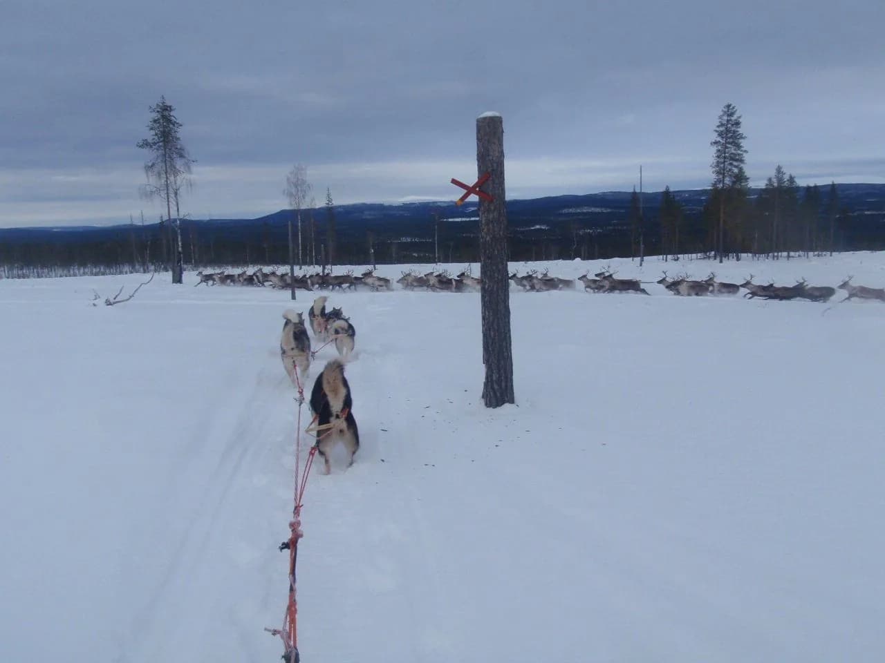 Markierung auf dem zugefrorenen See