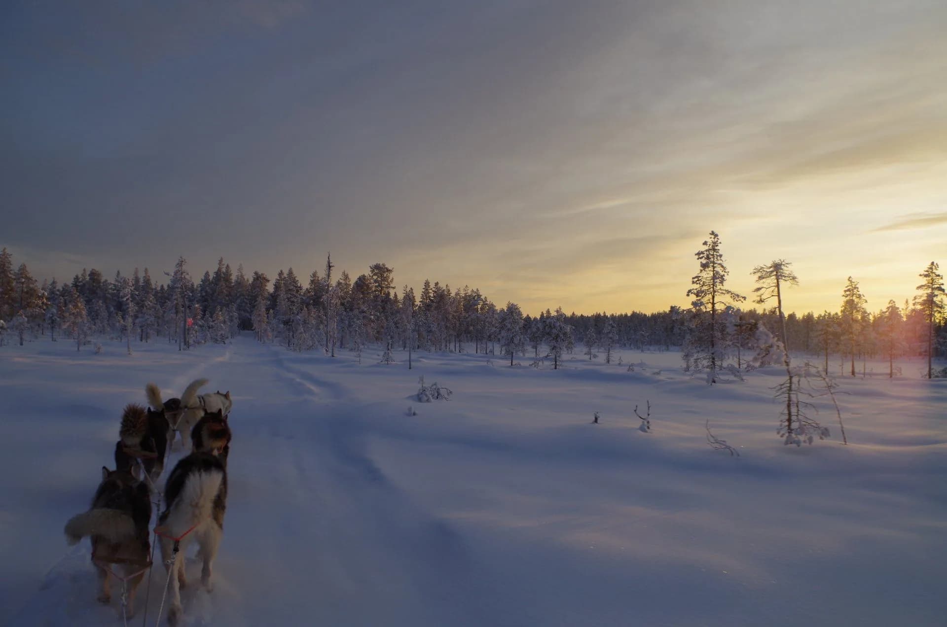 Winterimpression aus Schwedens Wildnis