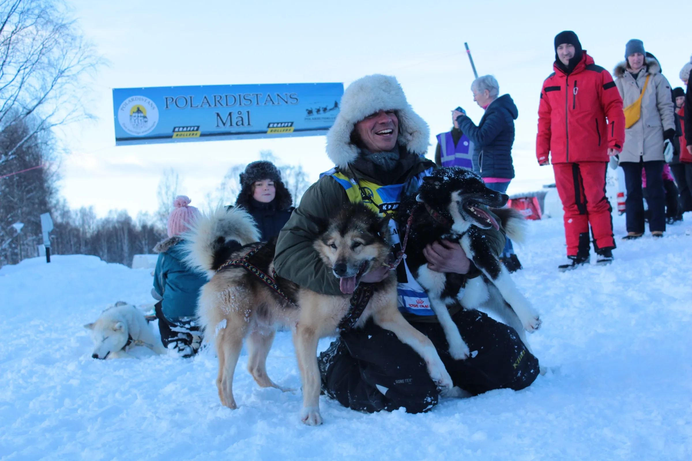 Artsrigtige huskyture / slædehundeture
